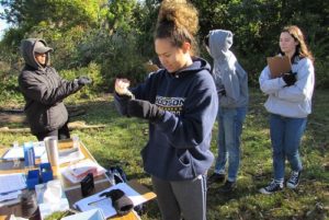 students analyze water samples outdoors