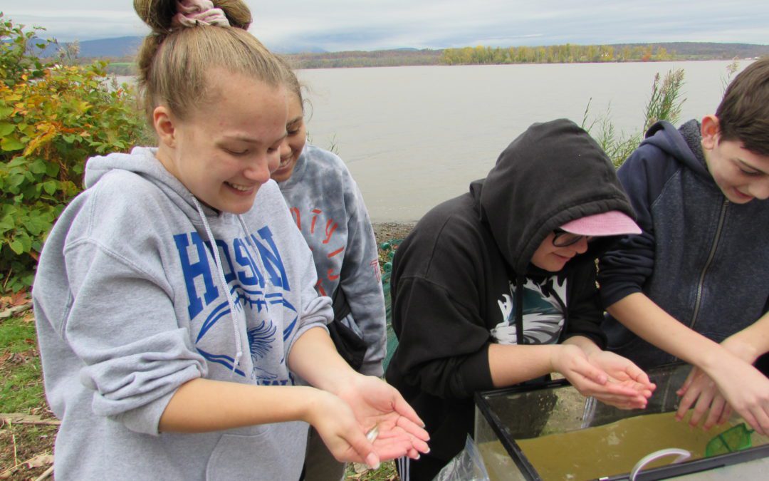 Environmental Research with DEC