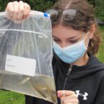 a girl outside examines fish species in a water sample