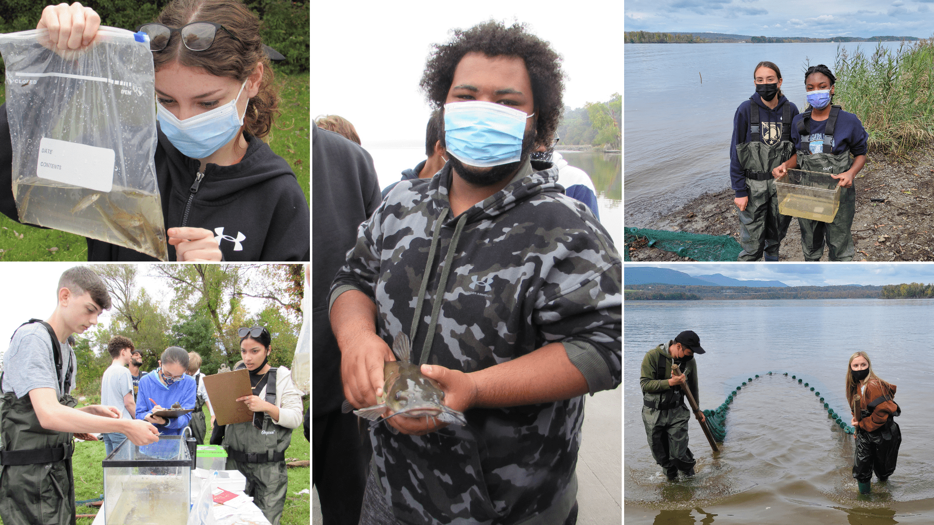 photo collage of students gathering fish and water samples at the Hudson River